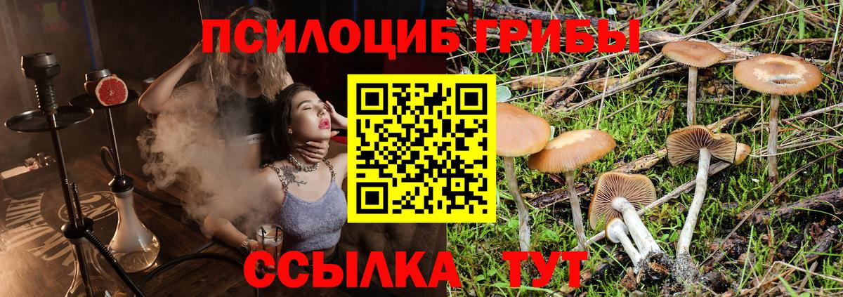где купить   Галлюциногенные грибы GOLDEN TEACHER  Ярославль  Вход с VPN  Галлюциногенные грибы Psilocybine cubensis 