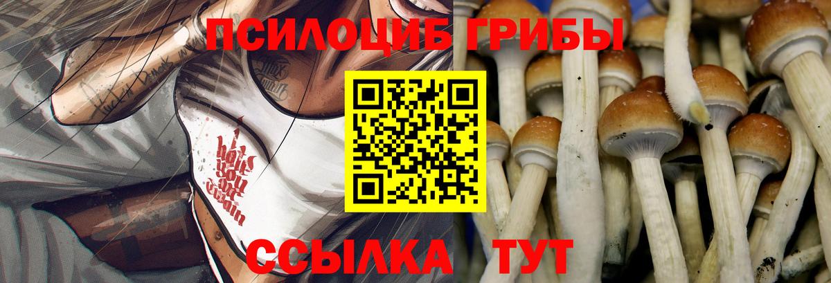 Псилоцибиновые грибы ЛСД Ярославль